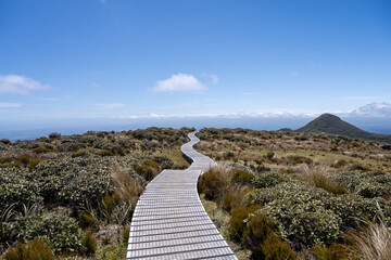 Pathway to Mount Egmont
