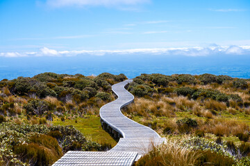 Pathway to Mount Egmont