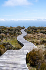 Pathway to Mount Egmont