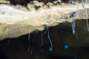 Glow Worms at Waitomo Caves, New Zealand