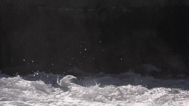 Wild water from river Aare splashing