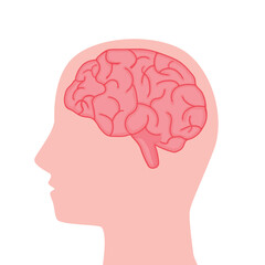 Human brain with head profile illustration