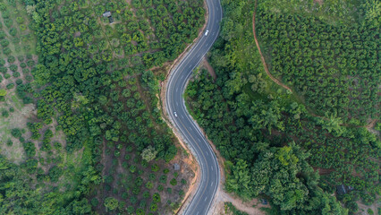 Aerial view of the road cutting through the agriculture field in rural area of Chiang Rai province...