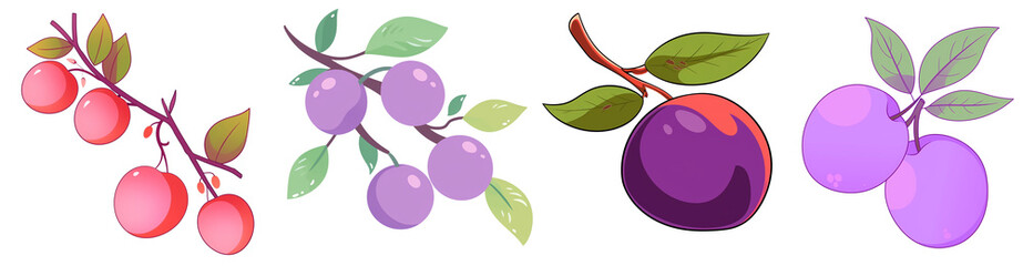 set of plum on transparent background. png file