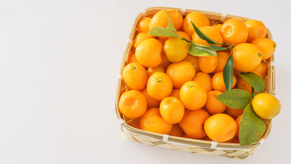 金柑(キンカン)