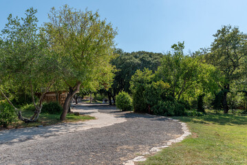 Fototapeta na wymiar View of the trees path and grass at Bet She'arim National Park in Kiryat Tivon, Israel.