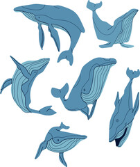 blue whale illustrations, vector art, easy to edit.