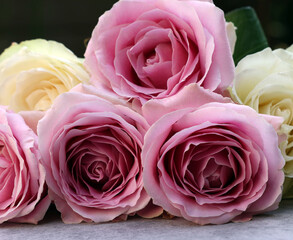 Beautiful bouquet of roses on light grey table outdoors, closeup