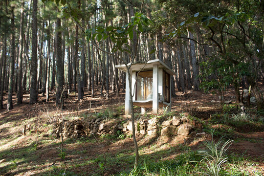 old house in the woods