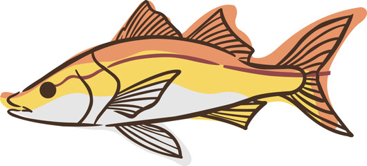 Abstract snook fish doodle sign illustration for decoration on marine life, aquarium, fishing and nautical concept.