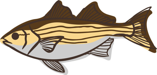 Abstract cobia fish doodle sign illustration for decoration on marine life, aquarium, fishing and nautical concept.