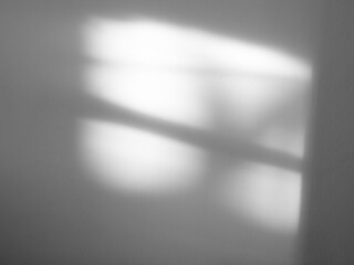 Shadow Background Sunlight Wall Light White Backdrop Plant Overlay Sunlight Mockup Sun Minimal Gray Template Summer Black Photography Modern Floor 3d Bg Cement Minimal Product Empty Vintage Surface.