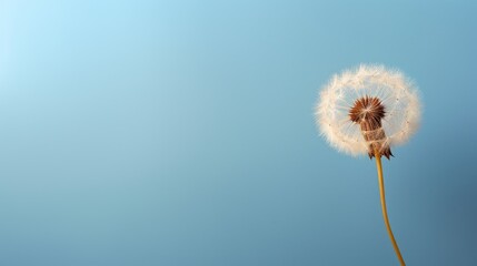 A single dandelion seed against a muted color background  AI generated illustration