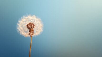 A single dandelion seed against a muted color background AI generated illustration