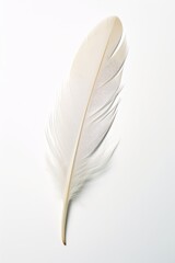 A single floating feather against a plain white background AI generated illustration