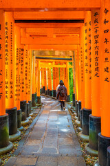 Torii corridor at the Fushimi Inari Taisha shrine in Kyoto, Japan.