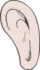 Cartoon ear draw