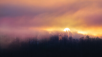 Sunrise over the foggy forest
