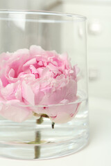 Beautiful pink peony bud in vase on white table, closeup
