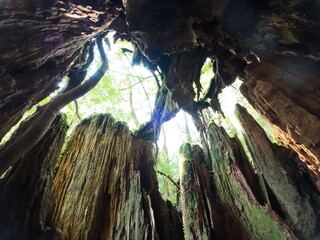 inside the stub