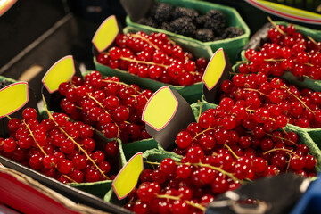 Many fresh red currants on cardboard containers at market, closeup