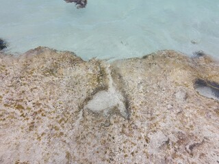 stone mermaid's tail