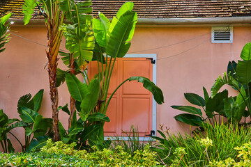 Tropical Garden with Serene Peach Doorway, Nassau