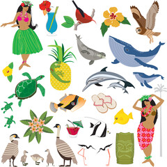 Vector set of Hawaiian icons with hula dancers and native animals, sea life, birds and flowers 