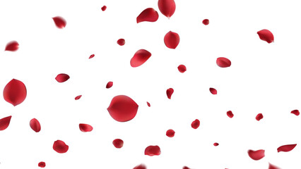 Valentine's day Vector red symbols of love border for romantic banner or Red rose petals will fall on abstract floral background with gorgeous rose greeting card design. on transparent background