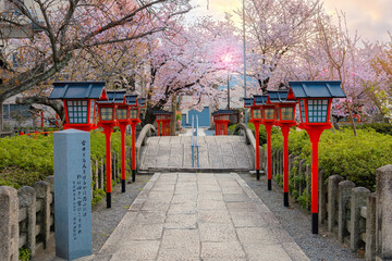 Fototapeta na wymiar Beautiful full bloom cherry blossom at Rokusonno shrine in Kyoto, Japan