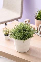 Artificial houseplants on table in room, closeup