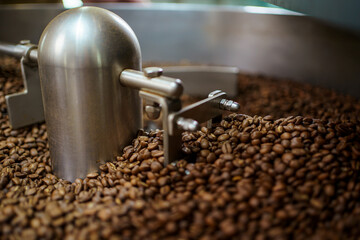 Professional coffee roaster working with modern automated roasting machine in the coffee roasting factory. 