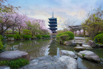 Toji Temple in Kyoto, Japan during beautiful full bloom cherry blossom season