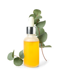 Bottle with cosmetic oil and eucalyptus branch on white background