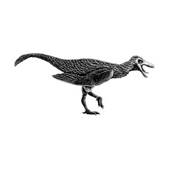 Xiongguanlong hand drawing vector isolated on background.