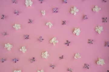 Composition background made of beautiful spring pink and white lilac flowers. Backdrop Mockup card invitation greeting card postcard copy space template blank. Springtime 