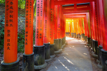Fushimi Inari-taisha in Kyoo, Japan, built in 1499, it's the icon of a path lined with thousands of...