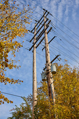 Autumnal Utility Poles with Transformers and Blue Sky