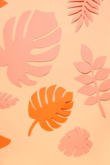 Different tropical leaves on pale orange background