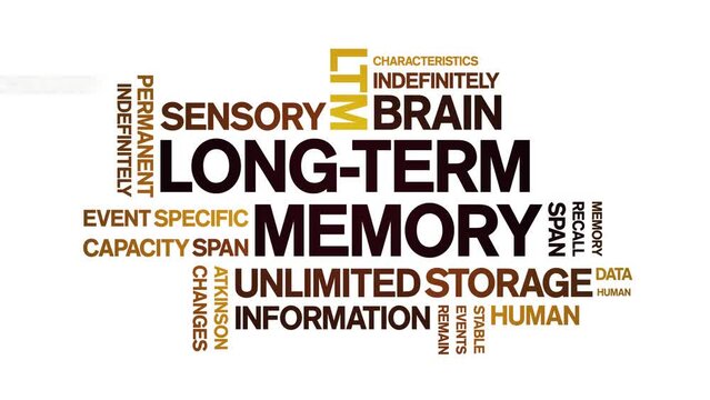 Long-Term Memory animated tag word cloud;text design animation kinetic typography seamless loop.