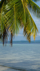 Scenic ocean view of coconut palm tree overlooking blue ocean water on tropical island in Raja Ampat, West Papua, Indonesia