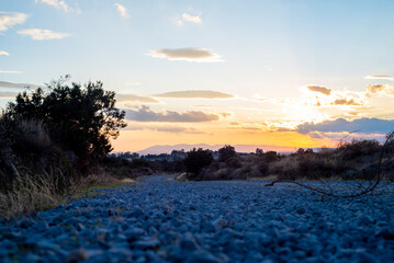 Paisaje. Un camino de pierdas grices al atardecer con arboles bajos al rededor.