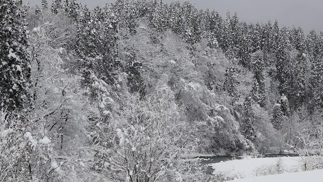 山に積もっている雪　森林　冬　イメージ