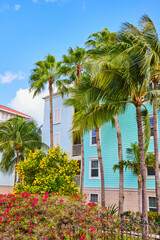 Tropical Urban Oasis with Palm Trees and Colorful Flowers