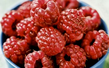 raspberries on plate  close up view