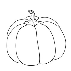 Pumpkins. Vector illustration, traditional Halloween decorative element. Halloween pumpkin sketch. Hand drawn line pumpkin