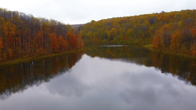A drone flight over a pond in the middle of autumn.