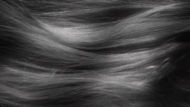 Beauty and glamour hair blowing in the wind in slow motion. Healthy shiny hairs. Hair restoration or care and barbershop or hairdressing concept. Glowing hair macro vertical background