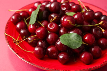 Plate of sweet cherries and leaves on pink background