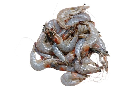 Fresh shrimp tails isolated. Raw headless prawn, pacific shrimp, uncooked tiger prawns, jumbo seafood on white plate on isolated background 